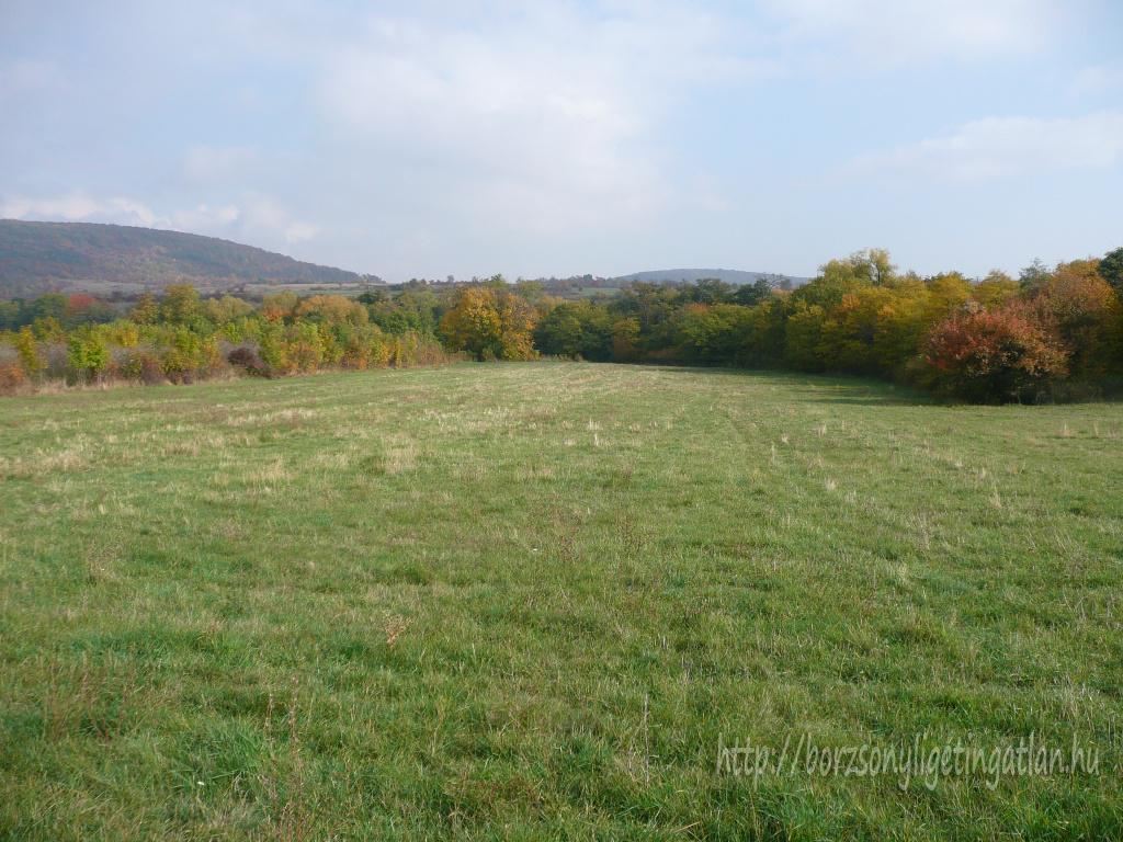 Eladó 5120nm-es szántó, a Börzsönyben, Szokolyán