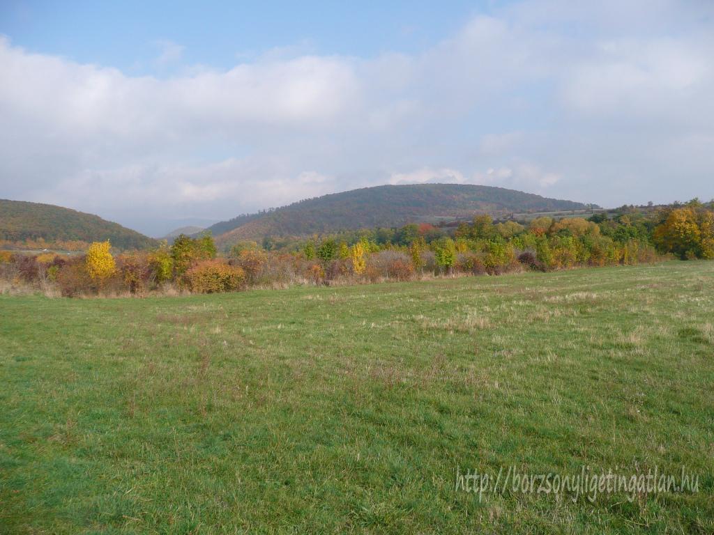 Eladó 5120nm-es szántó, a Börzsönyben, Szokolyán